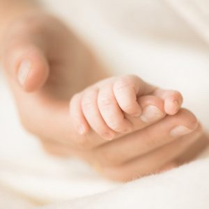 Intégration Motrice Primordiale