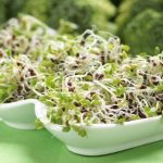 Les super-aliments pour améliorer sa vitalité au quotidien